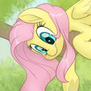 fluttershy